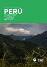 Perú: los retos de la justicia ambiental nacional